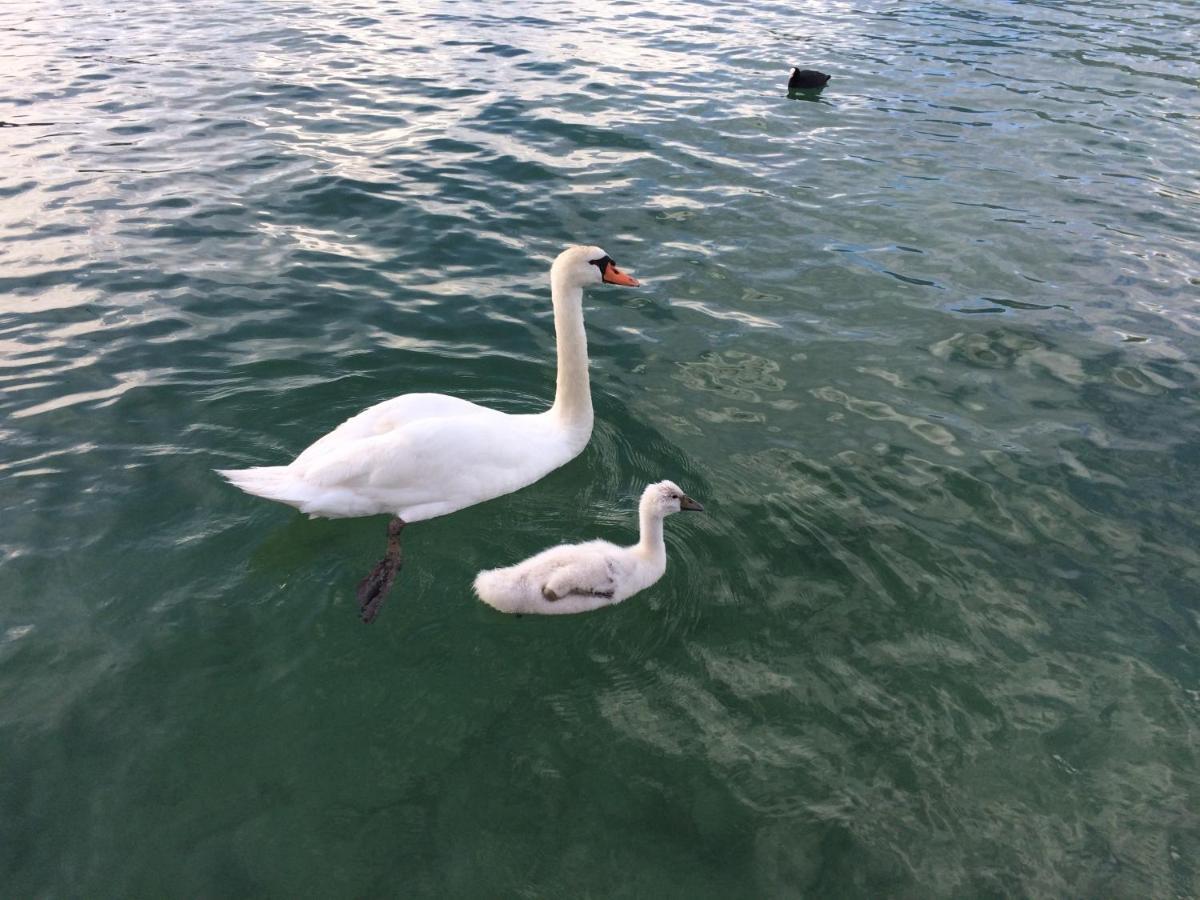דיון Lac Annecy Plage Privee, Duplex Baie Des Voiles מראה חיצוני תמונה